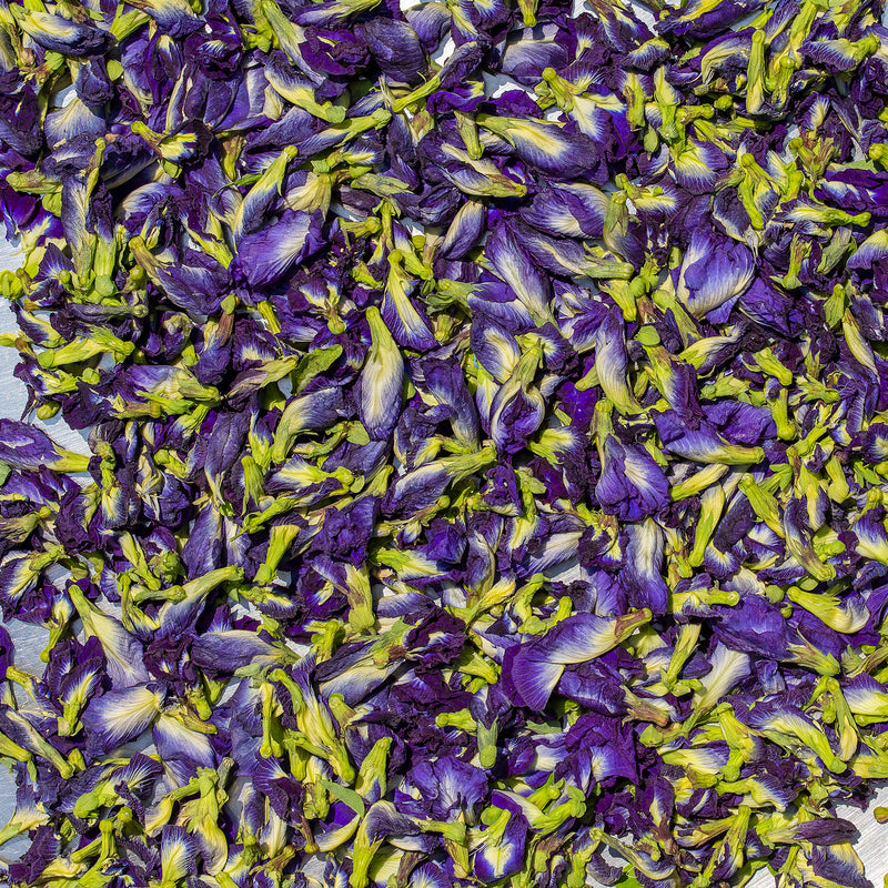 Butterfly Pea Flower Tea- 3 Mini Tins